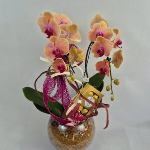 Orquídea Cascata no Vidro G com Ferrero Rocher