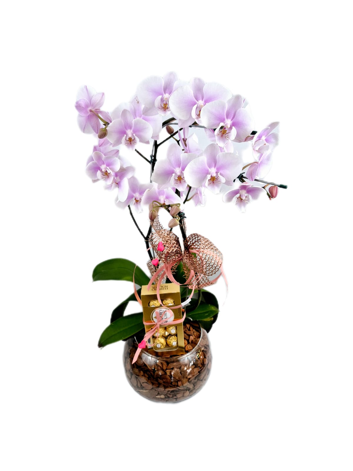 Orquídeas 2 Hastes no Vidro G + Ferrero 100gr